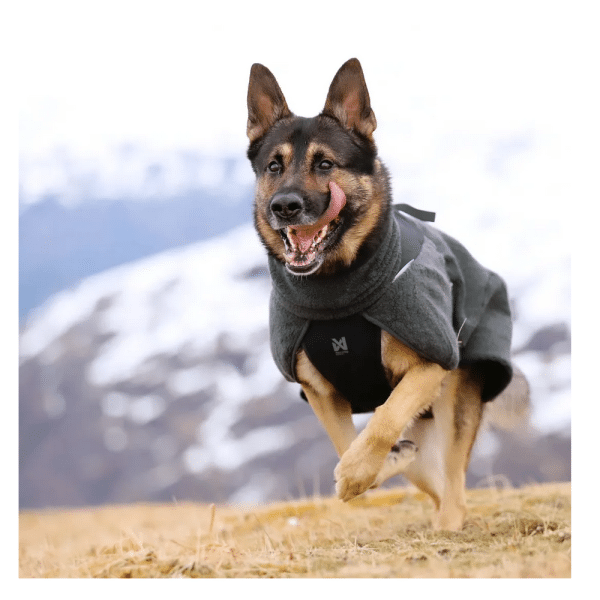 Non-Stop Dogwear Wool dog jacket - Bild 2