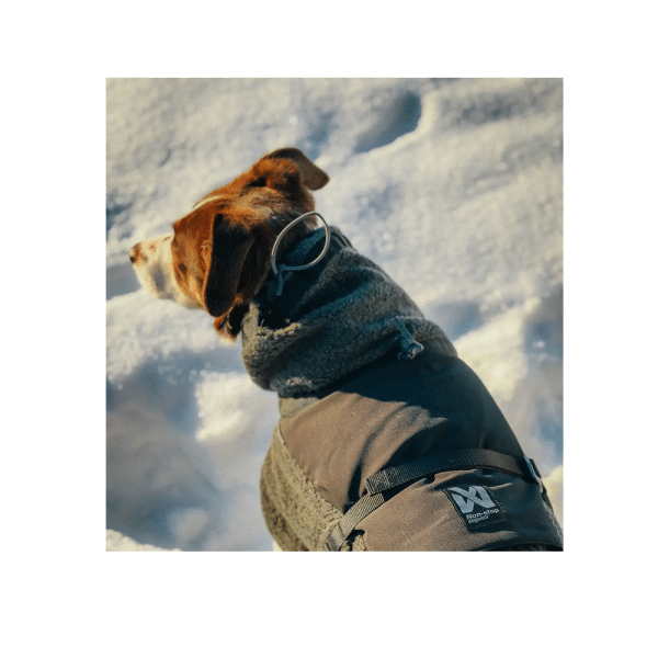 Non-Stop Dogwear Wool dog jacket - Bild 5