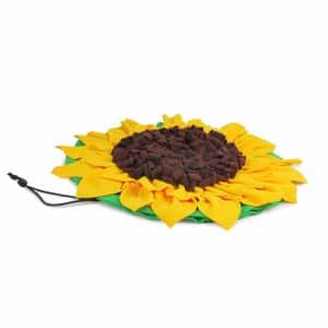 Hundleksak Sunflower