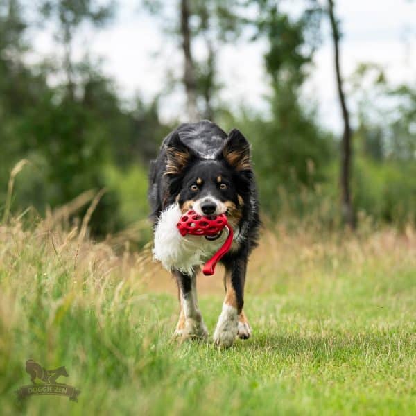 Doggie-Zen - Fårskinnskampis L Football - Bild 2